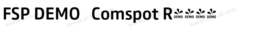 FSP DEMO   Comspot R字体转换